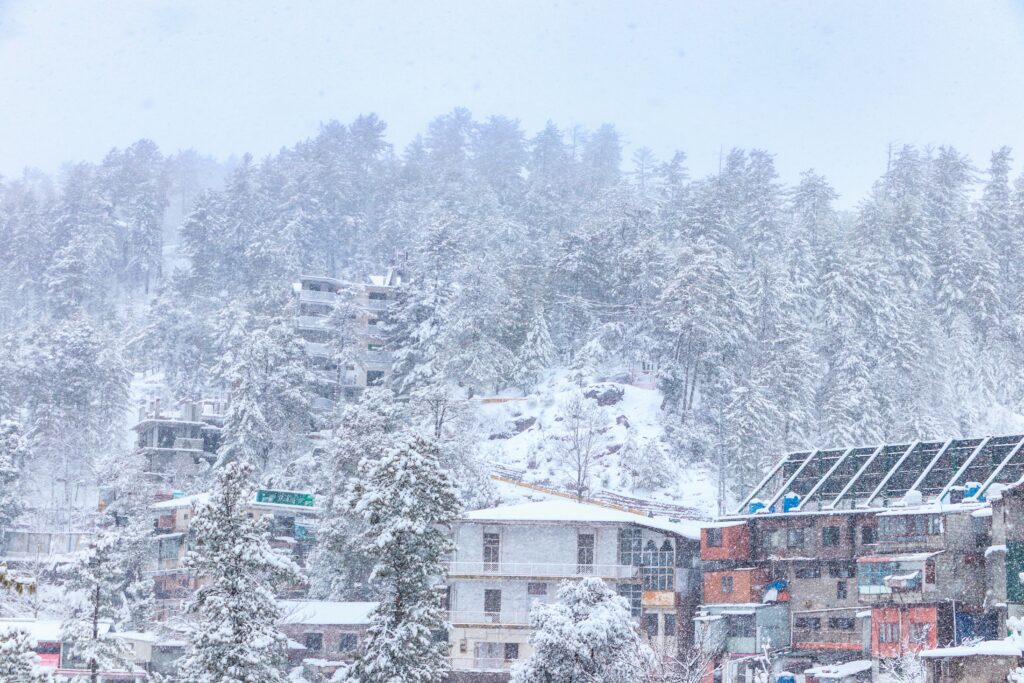snowfalling